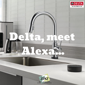 Delta meet alexa sink - Zinz Design in Youngstown, OH